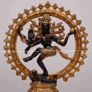 natrajan