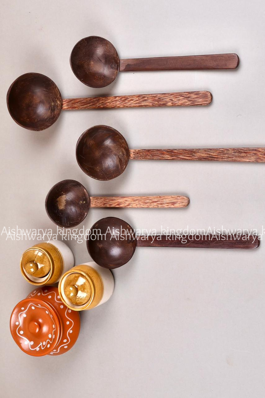 COCONUT SHELL WOODEN SPOON