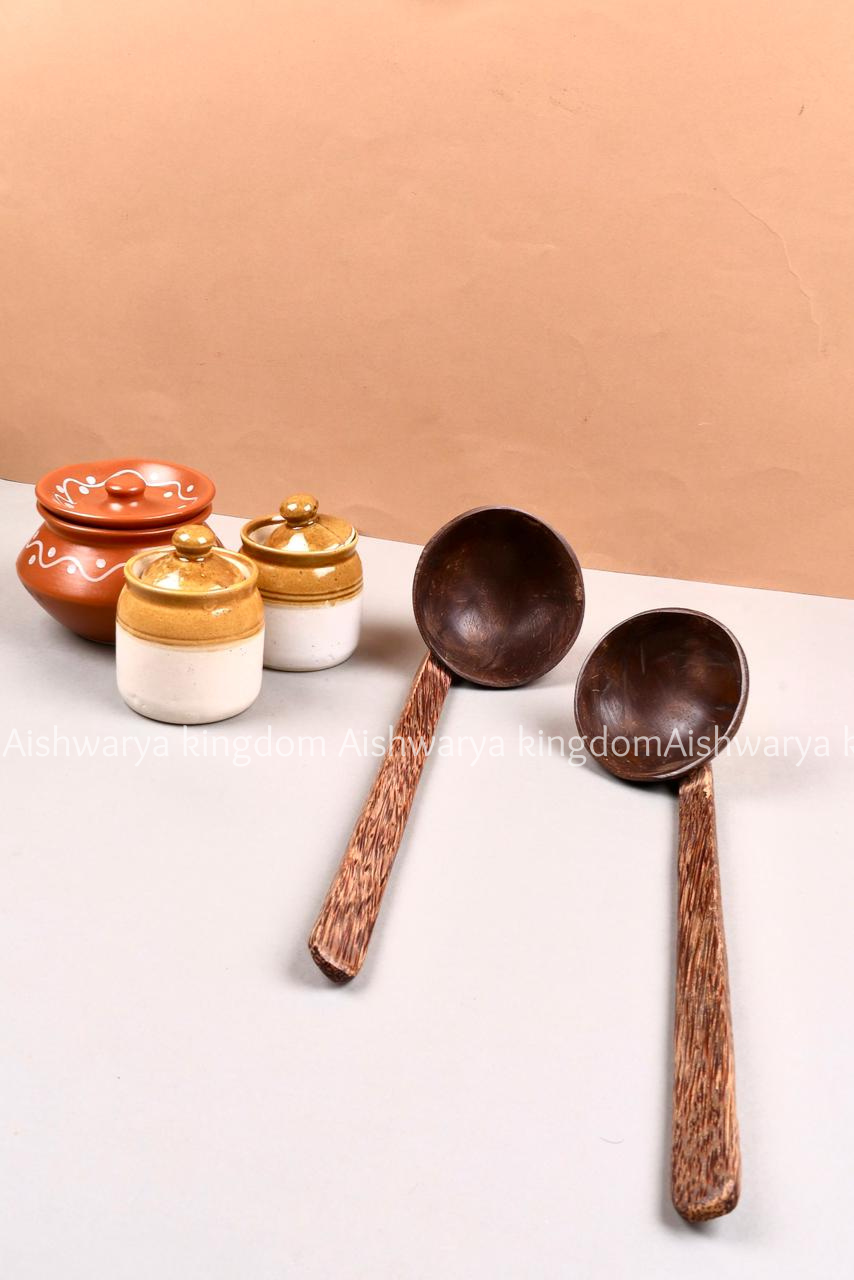 COCONUT SHELL WOODEN SPOON