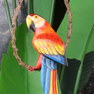 Wooden macaw parrot hanging ornament red branch ring