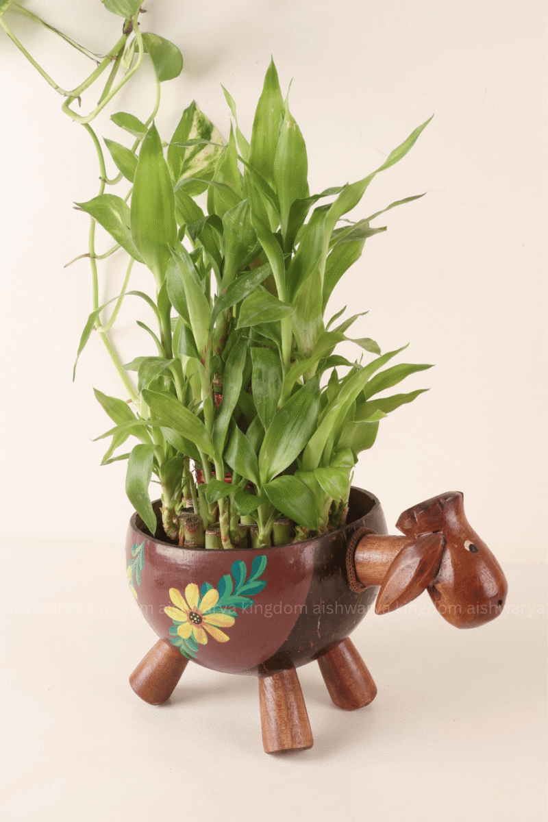 Coconut Shell Goat Bowl