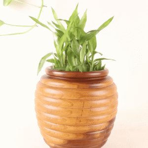 Ribbed Wooden Vase